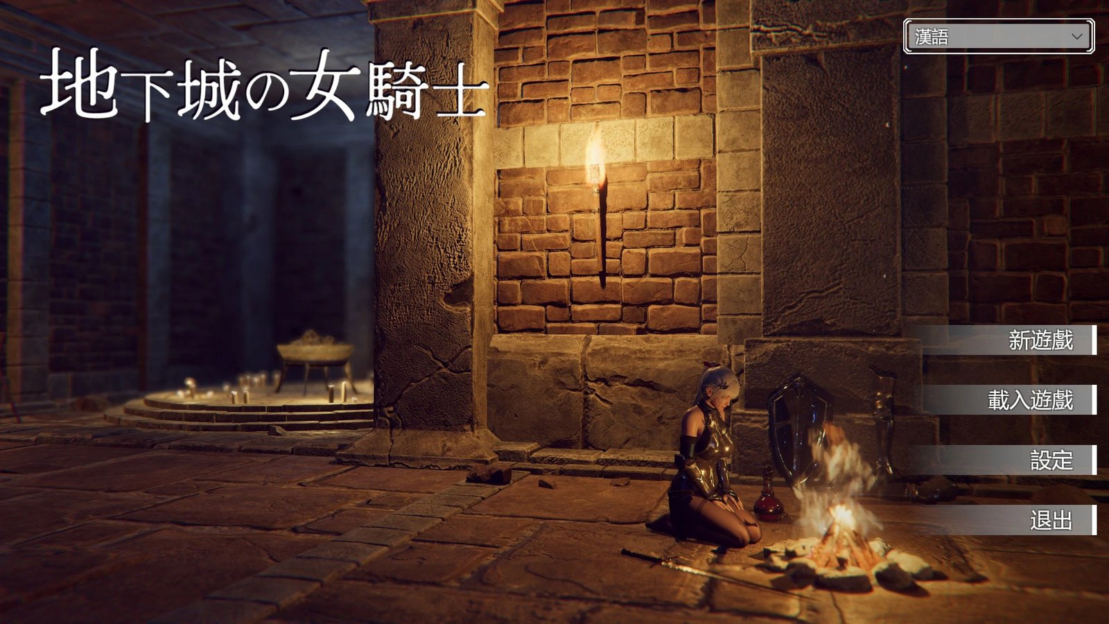[ACT/日式/3D] 地下城的女骑士（地下城の女騎士）官方中文步兵版 【PC-1.74G】-团子ACG