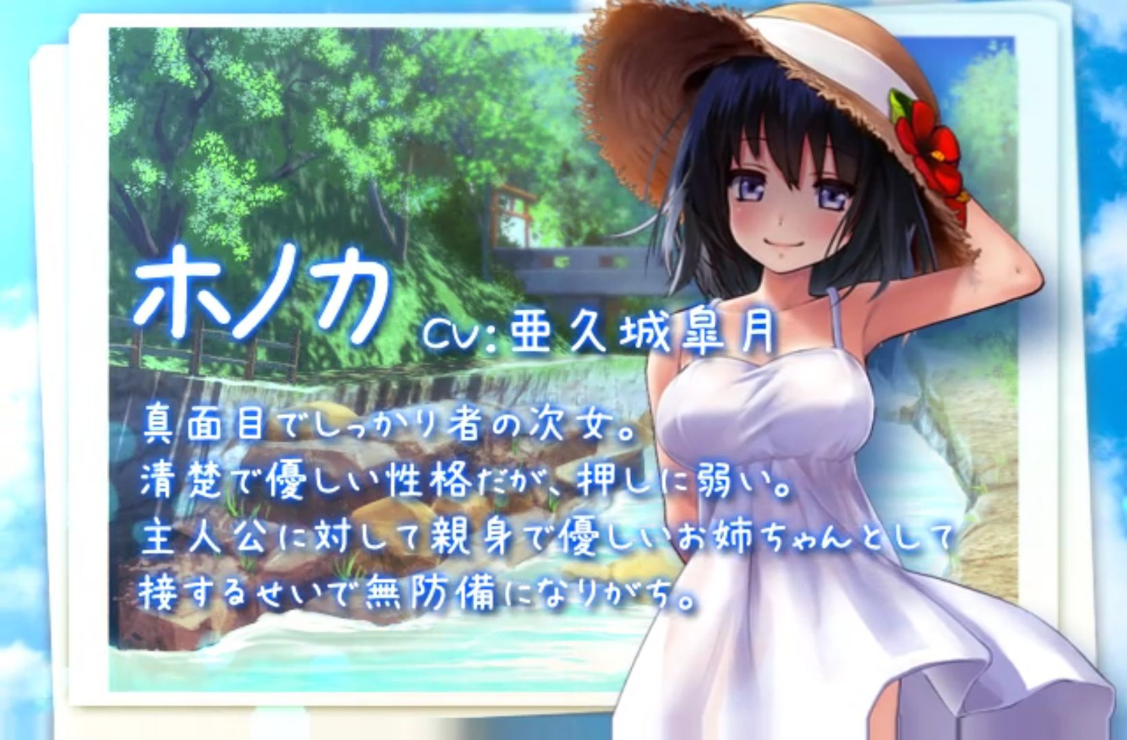 ボクのHな夏の思い出～お姉ちゃ(5)