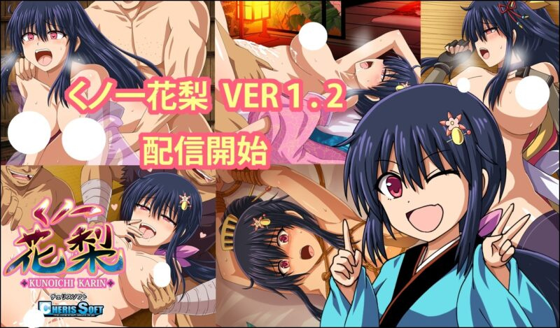 图片[9]-[精品RPG/援交/换装]女忍花梨 くノ一花梨 v1.2 精翻简中完结篇+全CG存档 【安卓/PC-3.45G】 - 团子ACG-团子ACG